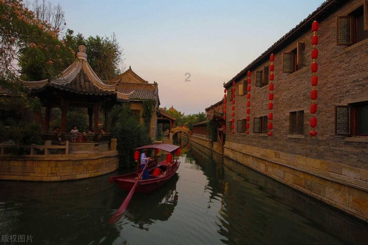 解救金刚鹦鹉
